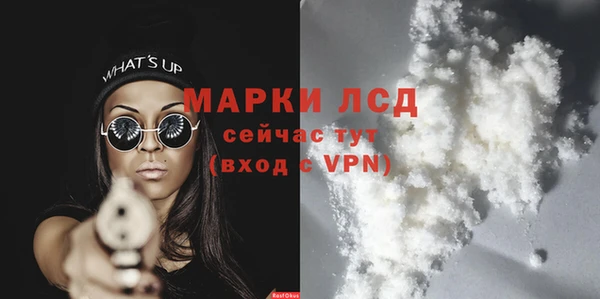 прущие грибы Покров